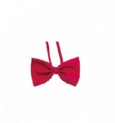 BT019 customized suit bow tie online order formal bow tie manufacturer detail view-4